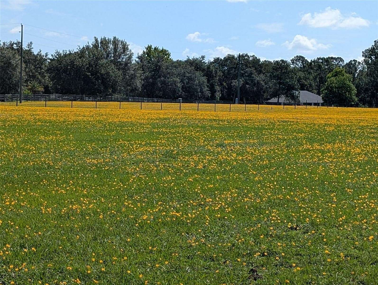 45.6 Acres of Land for Sale in Clermont, Florida