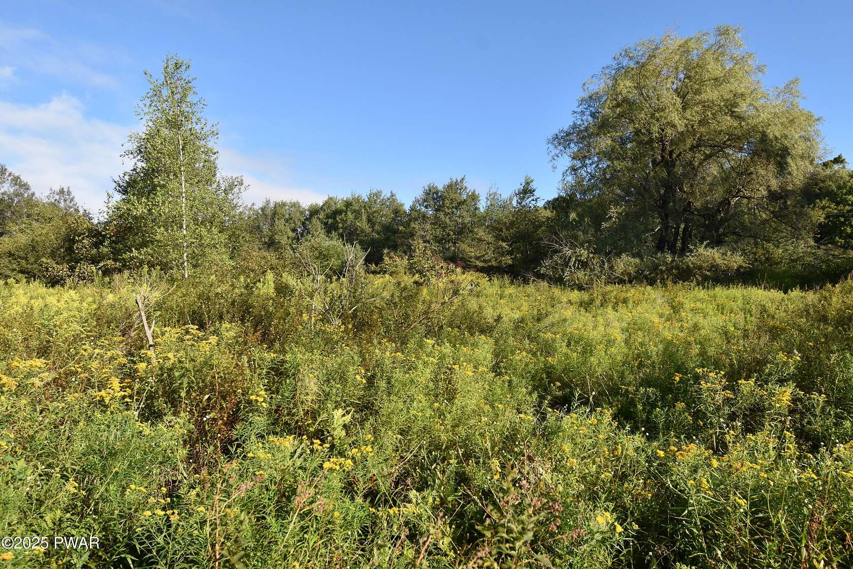 25 Acres of Recreational Land with Home for Sale in Forest City, Pennsylvania