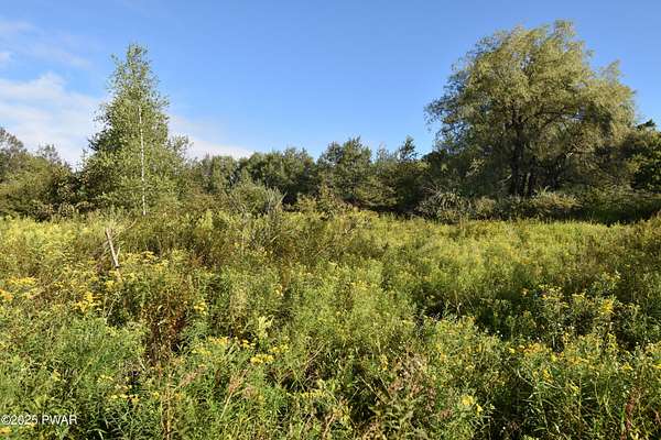 25 Acres of Recreational Land with Home for Sale in Forest City, Pennsylvania