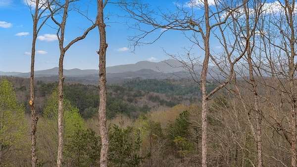 1.5 Acres of Residential Land with Home for Sale in Blue Ridge, Georgia