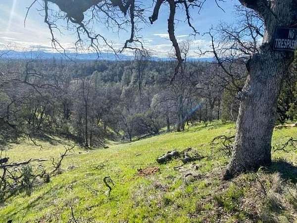 20.7 Acres of Land for Sale in Anderson, California