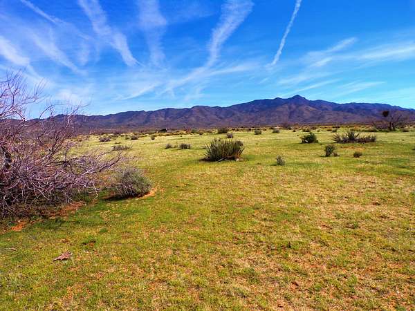 1 Acre of Residential Land for Sale in Chloride, Arizona