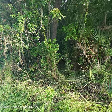 0.32 Acres of Land for Sale in Merritt Island, Florida