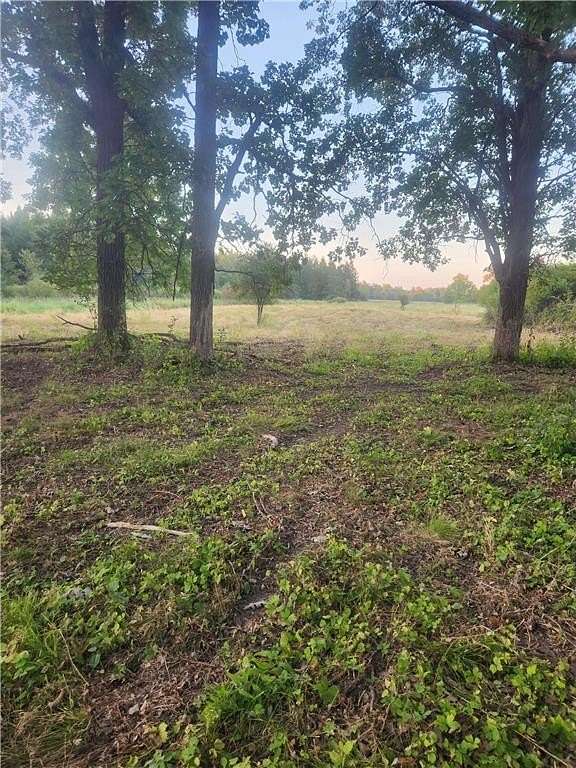 40 Acres of Land for Sale in Dalbo Township, Minnesota
