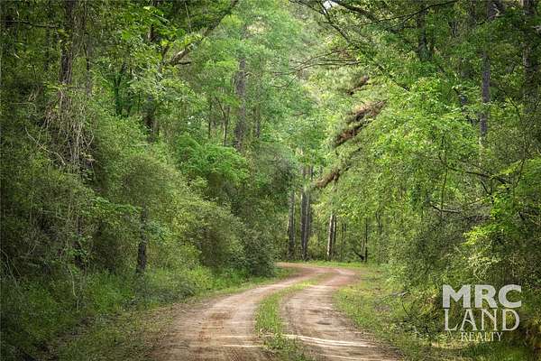 3.5 Acres of Land for Sale in Kennard, Texas