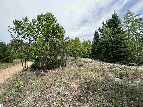 5 Acres of Land for Sale in Kalkaska, Michigan