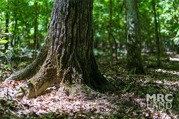 5 Acres of Residential Land for Sale in Garrison, Texas