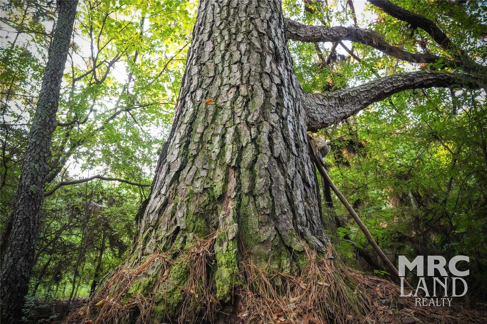 172 Acres of Land for Sale in Center, Texas