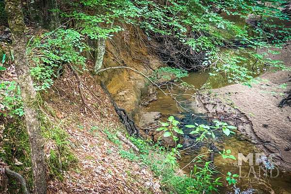 18 Acres of Recreational Land for Sale in Tenaha, Texas