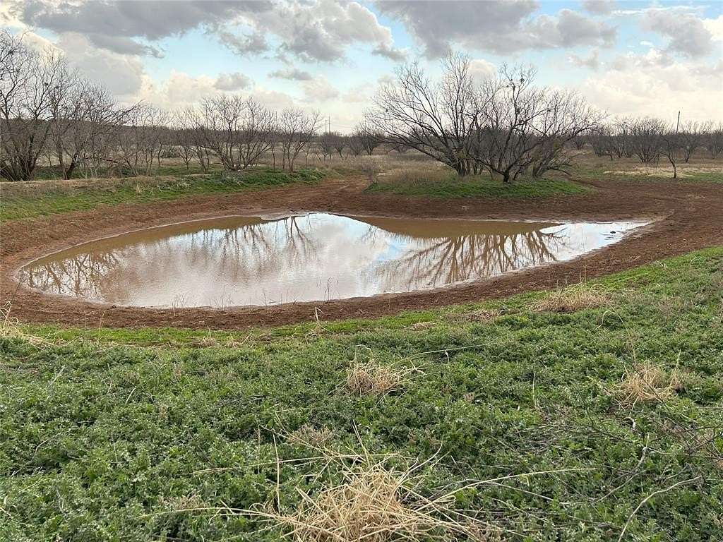 200 Acres of Land for Sale in Trent, Texas