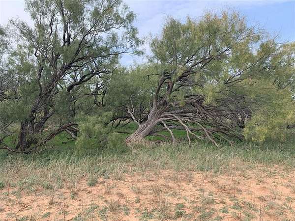 100 Acres of Land for Sale in Trent, Texas