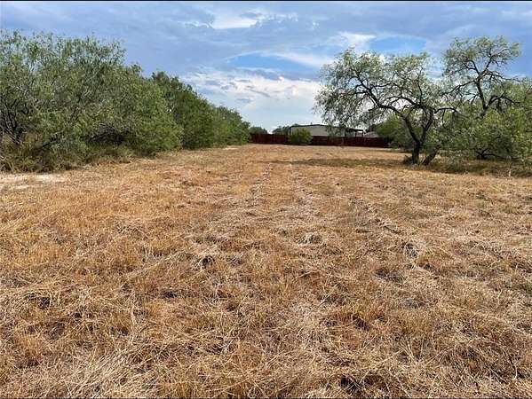 1 Acre of Residential Land for Sale in Alice, Texas