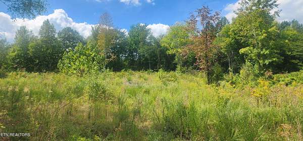 5 Acres of Residential Land for Sale in Winfield, Tennessee