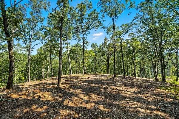 27.8 Acres of Recreational & Residential Land for Sale in Waleska, Georgia