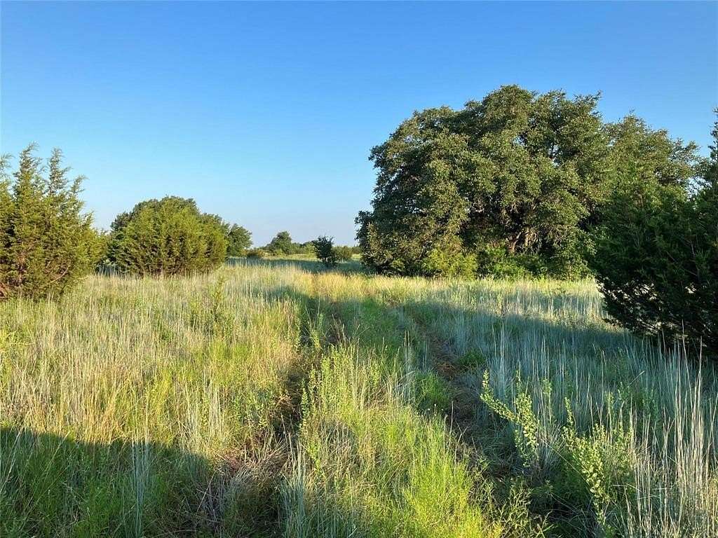 31.2 Acres of Recreational Land for Sale in Desdemona, Texas
