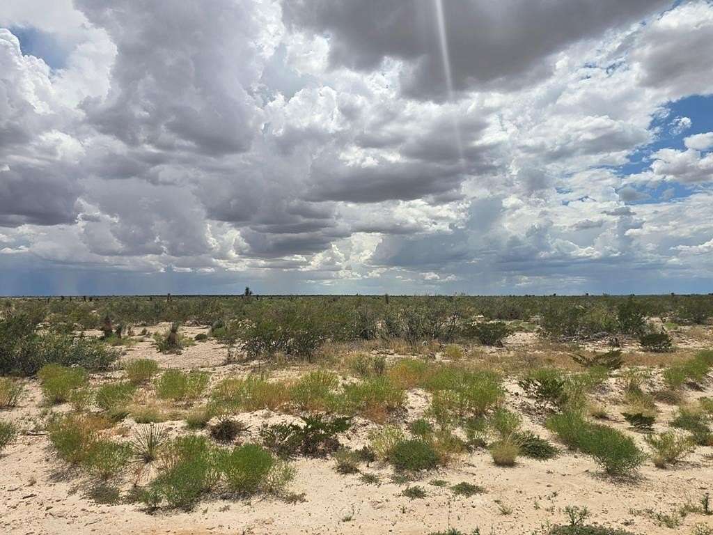 20 Acres of Recreational Land for Sale in Orla, Texas