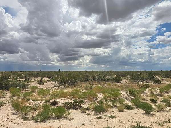 20 Acres of Recreational Land for Sale in Orla, Texas