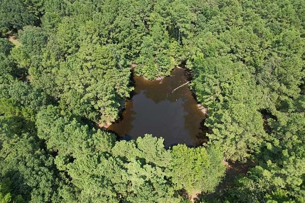 575 Acres of Recreational Land for Sale in Garrison, Texas