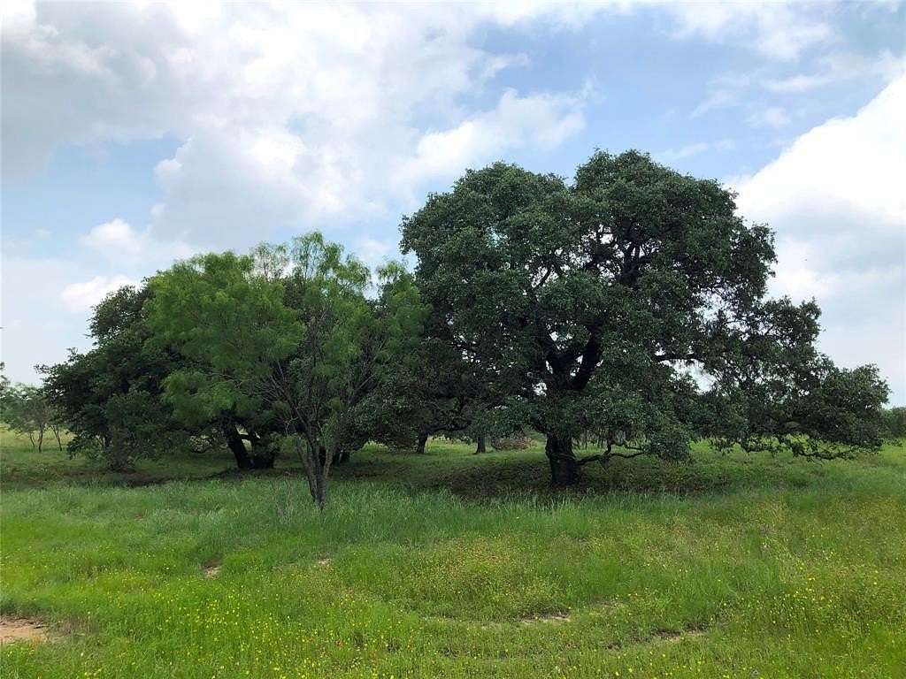 10 Acres of Land for Sale in Blanket, Texas