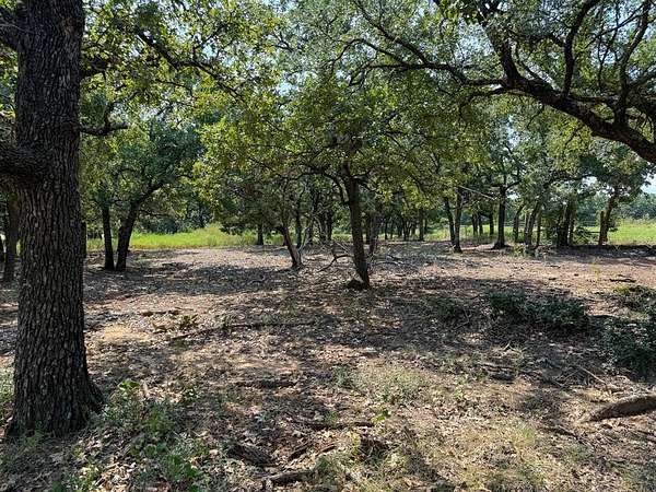 6.2 Acres of Land for Sale in Covington, Texas
