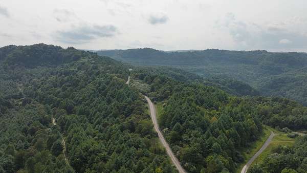 58.1 Acres of Recreational Land for Sale in Cleveland, Virginia