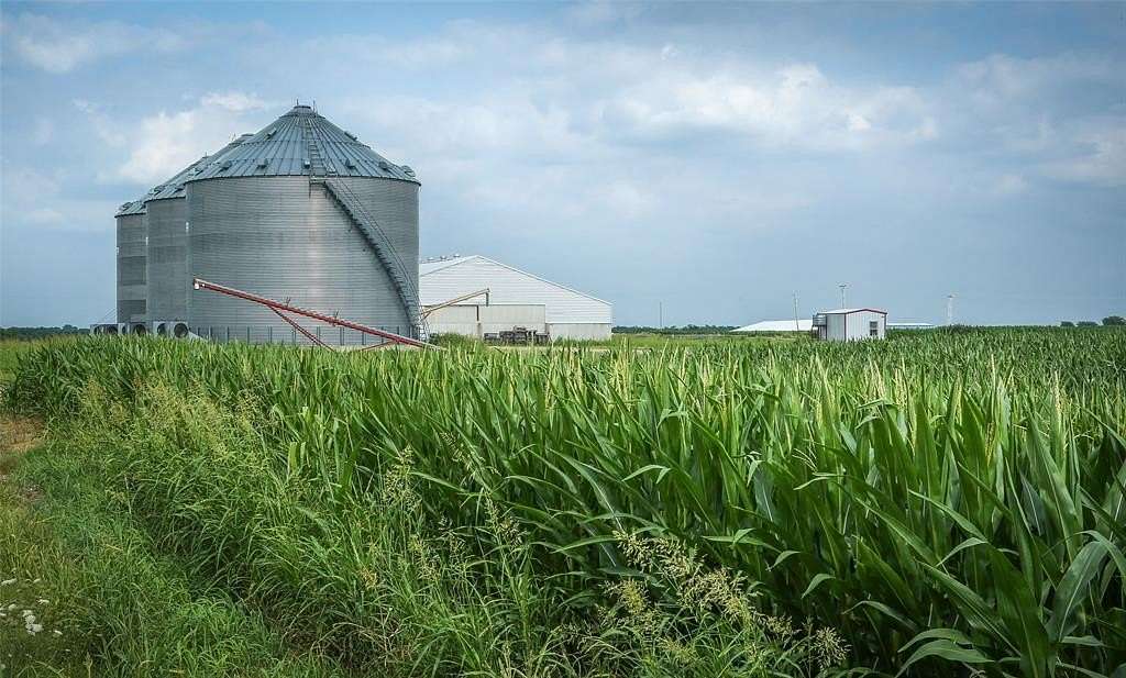 2,125 Acres of Land for Sale in Blossom, Texas