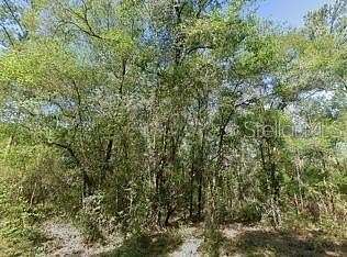 0.23 Acres of Residential Land for Sale in Dunnellon, Florida
