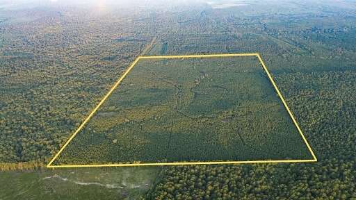 226 Acres of Recreational Land & Farm for Sale in Junction City, Louisiana