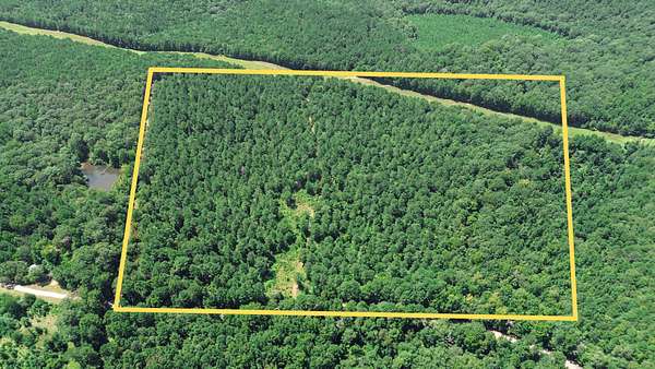 40 Acres of Recreational Land & Farm for Sale in Dubach, Louisiana