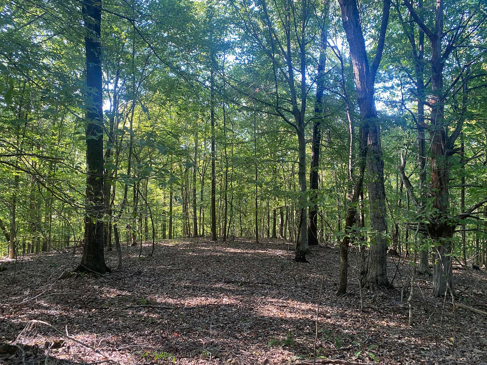 8.3 Acres of Land for Sale in Savannah, Tennessee