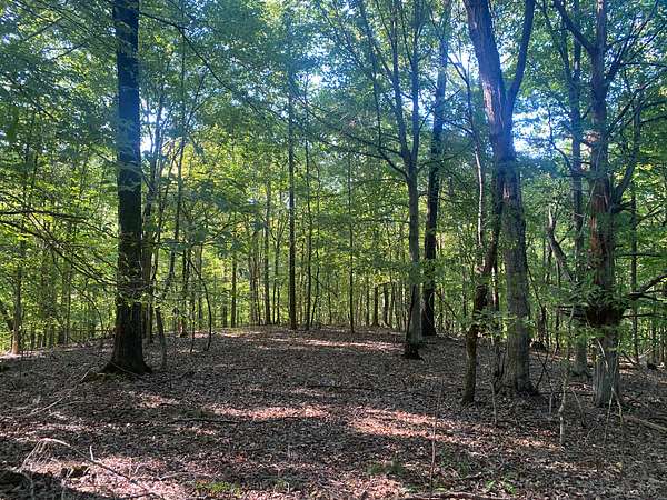 8.3 Acres of Land for Sale in Savannah, Tennessee