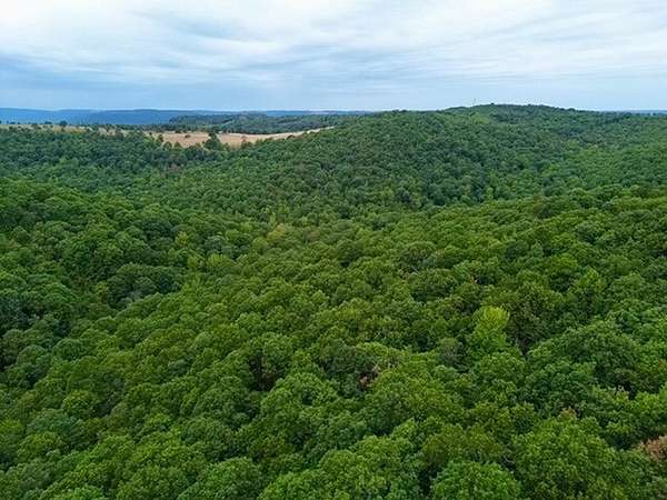 22.5 Acres of Recreational Land for Sale in Jasper, Arkansas