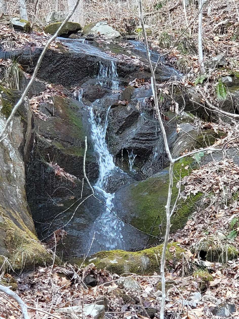 73.6 Acres of Recreational Land for Sale in Robbinsville, North Carolina