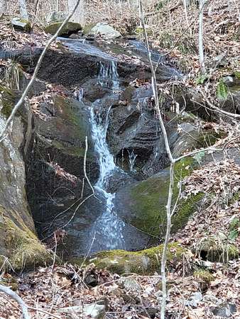 73.6 Acres of Recreational Land for Sale in Robbinsville, North Carolina