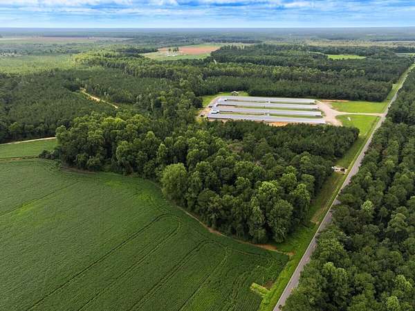 118 Acres of Recreational Land & Farm for Sale in Rose Hill, North Carolina