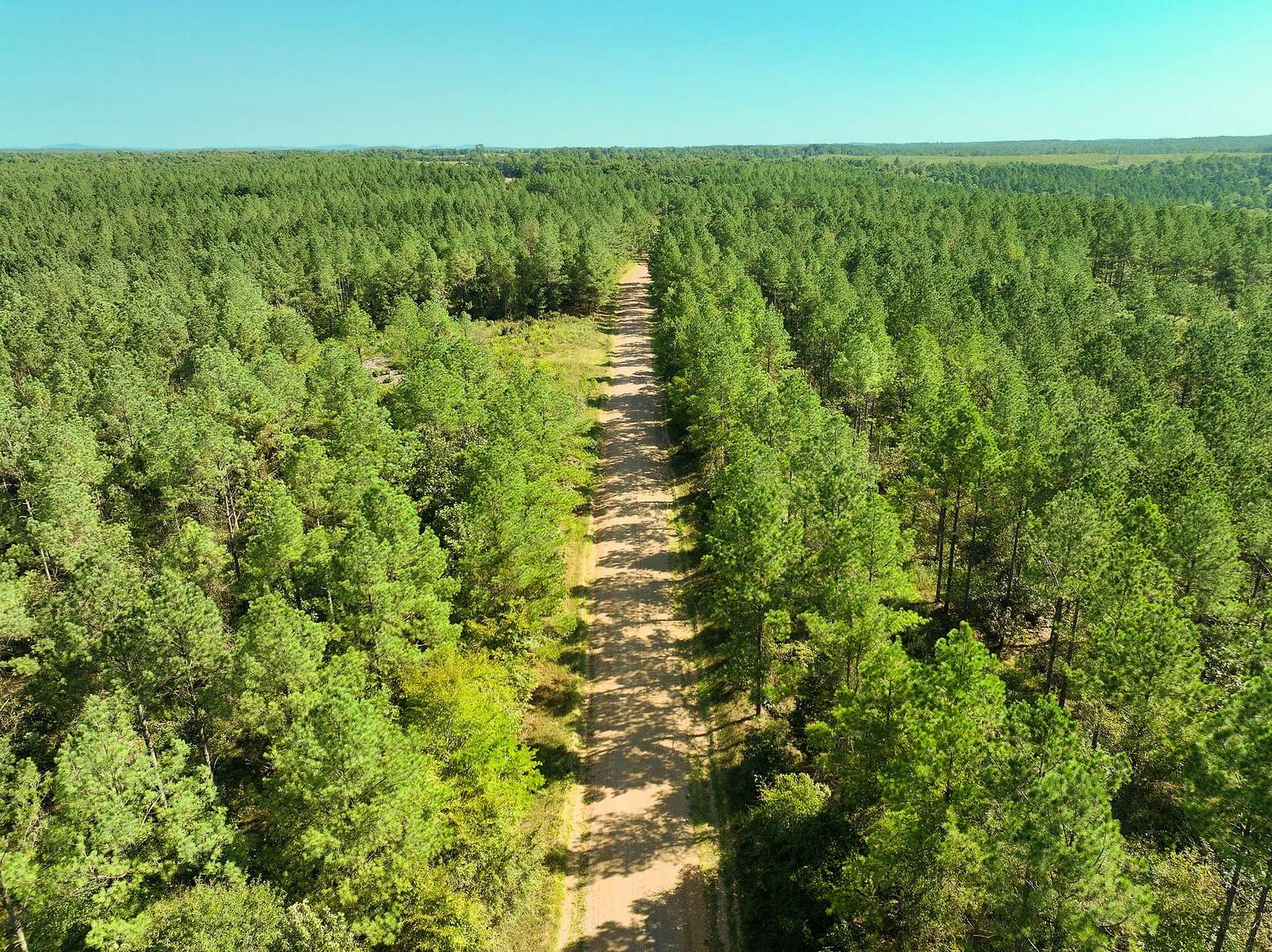 1,307 Acres of Recreational Land for Sale in Murfreesboro, Arkansas