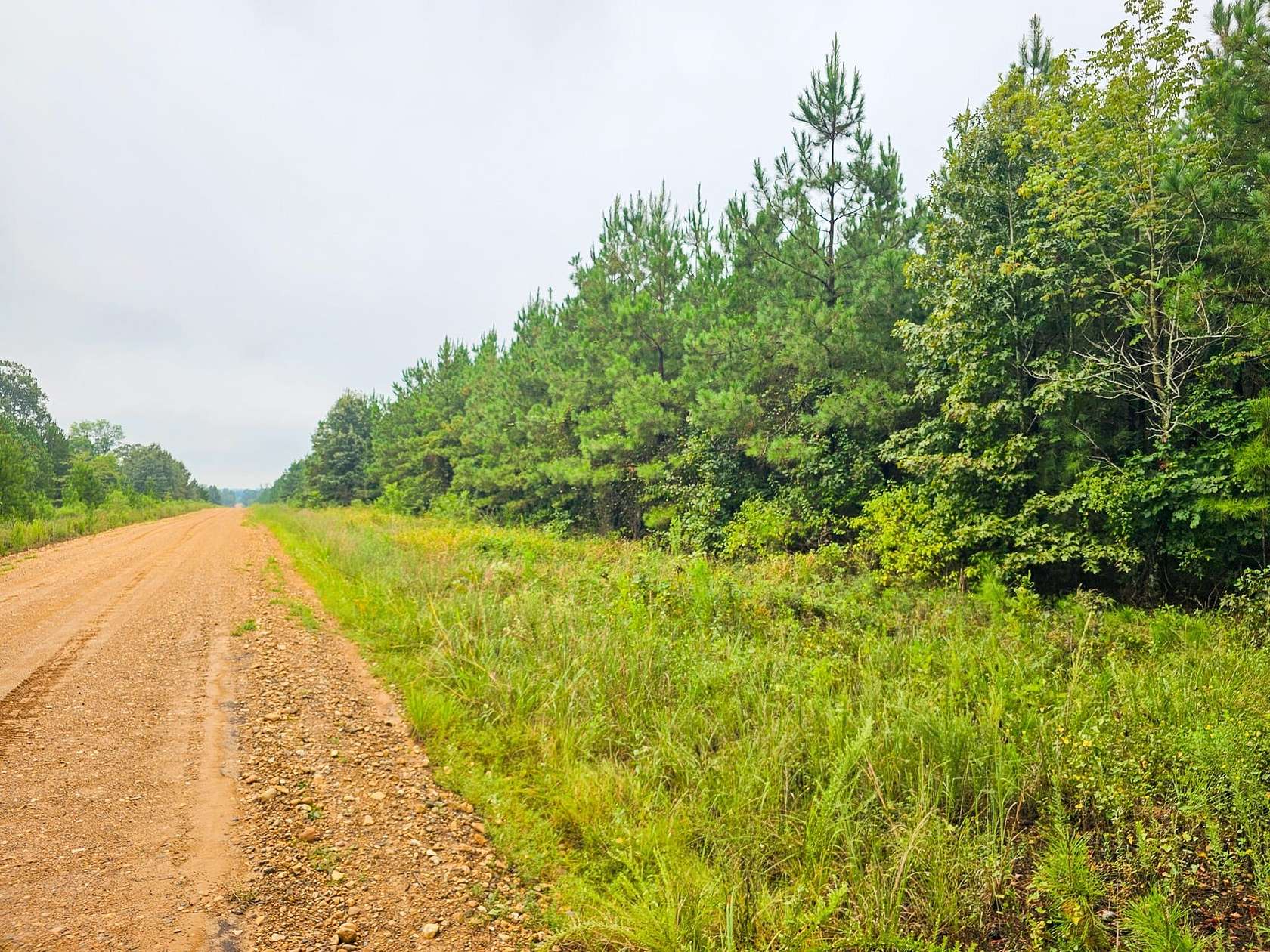 164 Acres of Recreational Land for Sale in Ozan, Arkansas