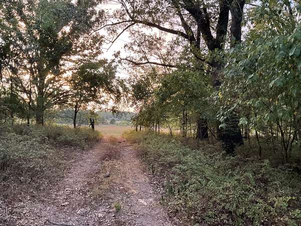 10 Acres of Recreational Land for Sale in Springfield, Missouri
