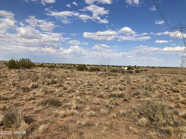 40.3 Acres of Land for Sale in Snowflake, Arizona