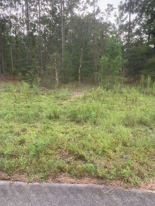 1 Acre of Residential Land for Sale in Dunnellon, Florida
