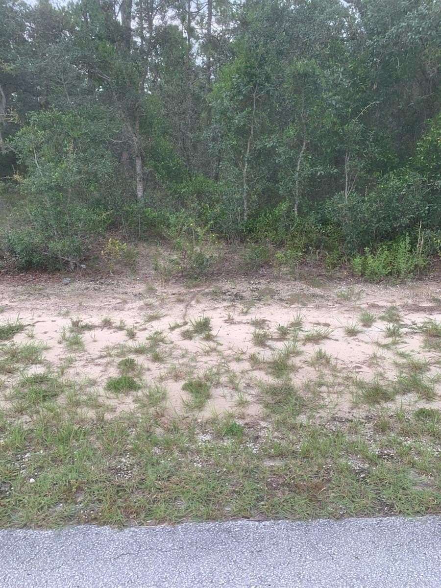 0.99 Acres of Residential Land for Sale in Dunnellon, Florida
