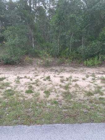 0.99 Acres of Residential Land for Sale in Dunnellon, Florida
