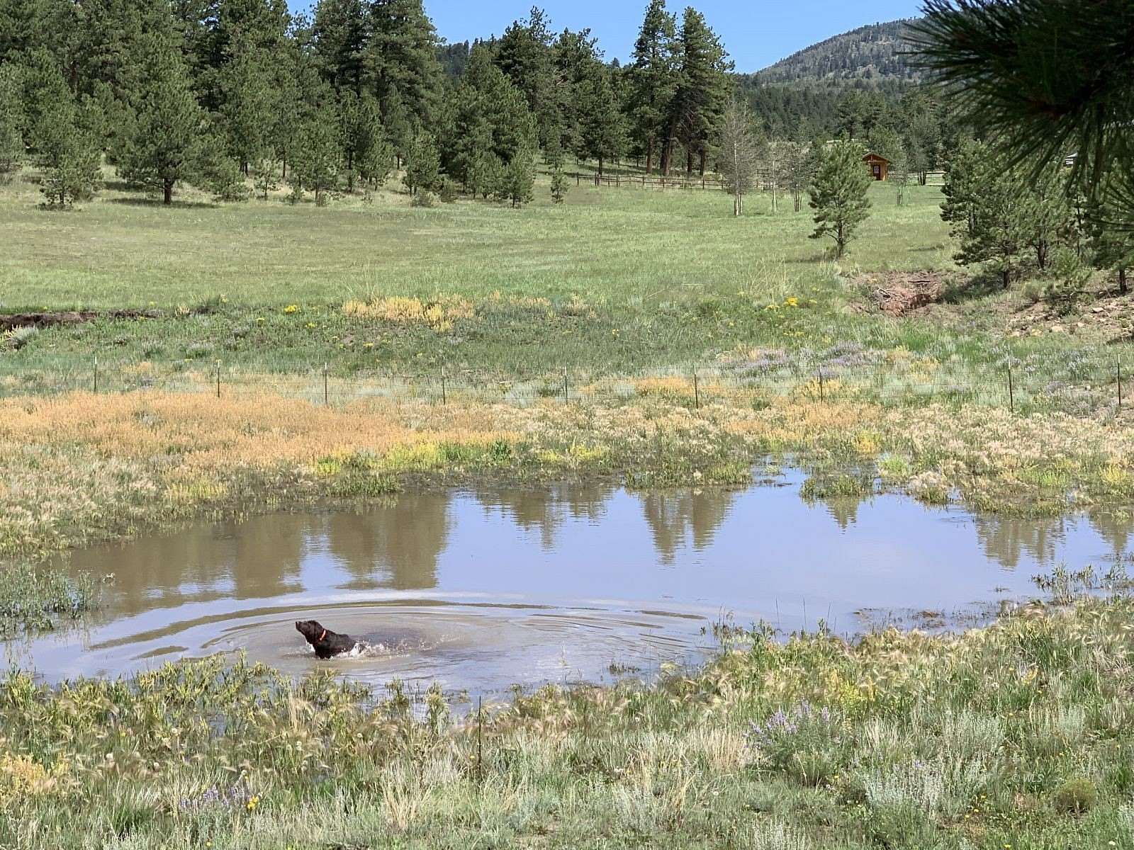 37 Acres of Land for Sale in Westcliffe, Colorado