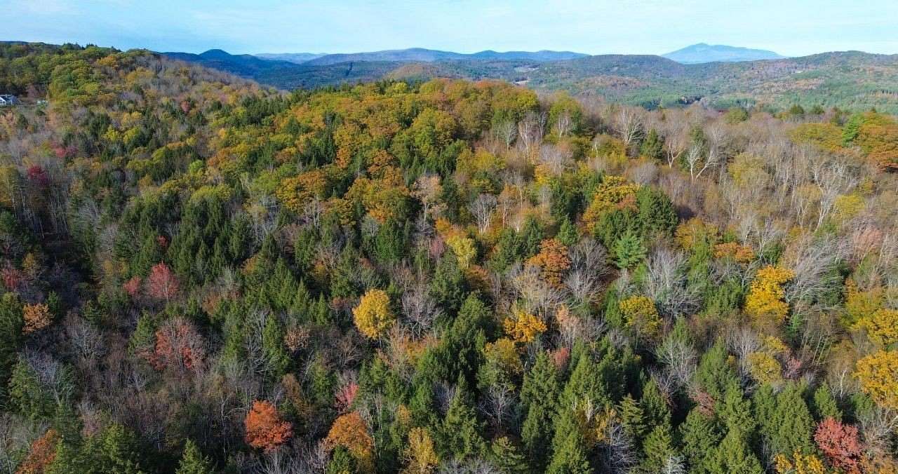 75 Acres of Land for Sale in Chester, Vermont