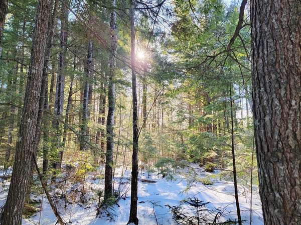 7.67 Acres of Improved Residential Land for Sale in Mariaville, Maine