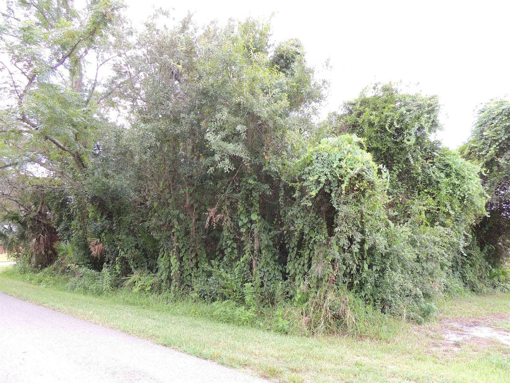 0.18 Acres of Residential Land for Sale in St. Augustine, Florida