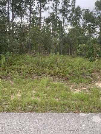 0.99 Acres of Residential Land for Sale in Dunnellon, Florida