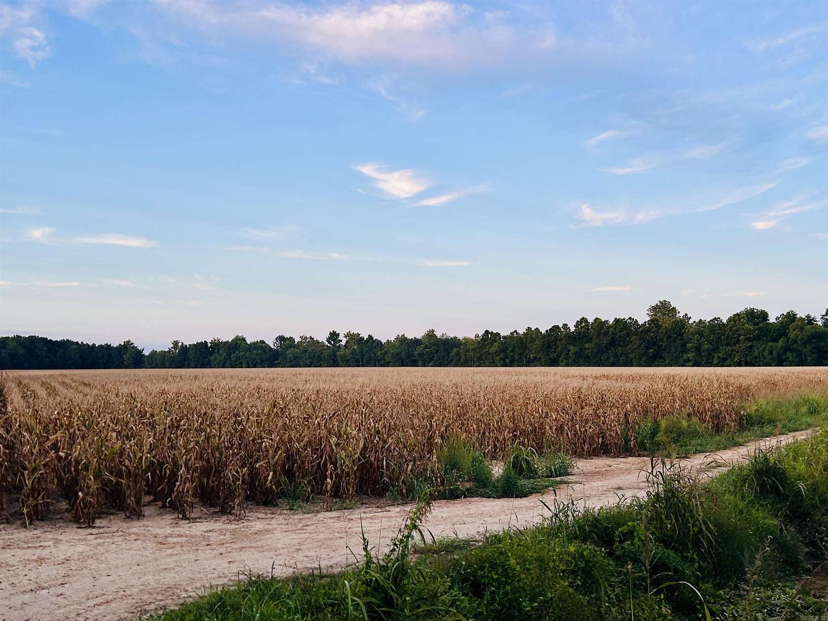 165 Acres of Agricultural Land for Sale in Rector, Arkansas