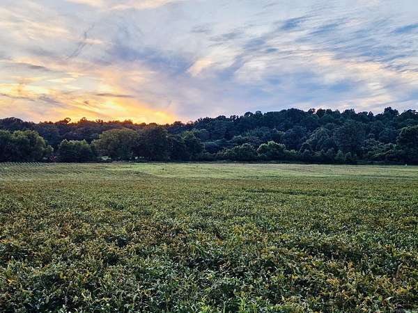 165 Acres of Agricultural Land for Sale in Rector, Arkansas