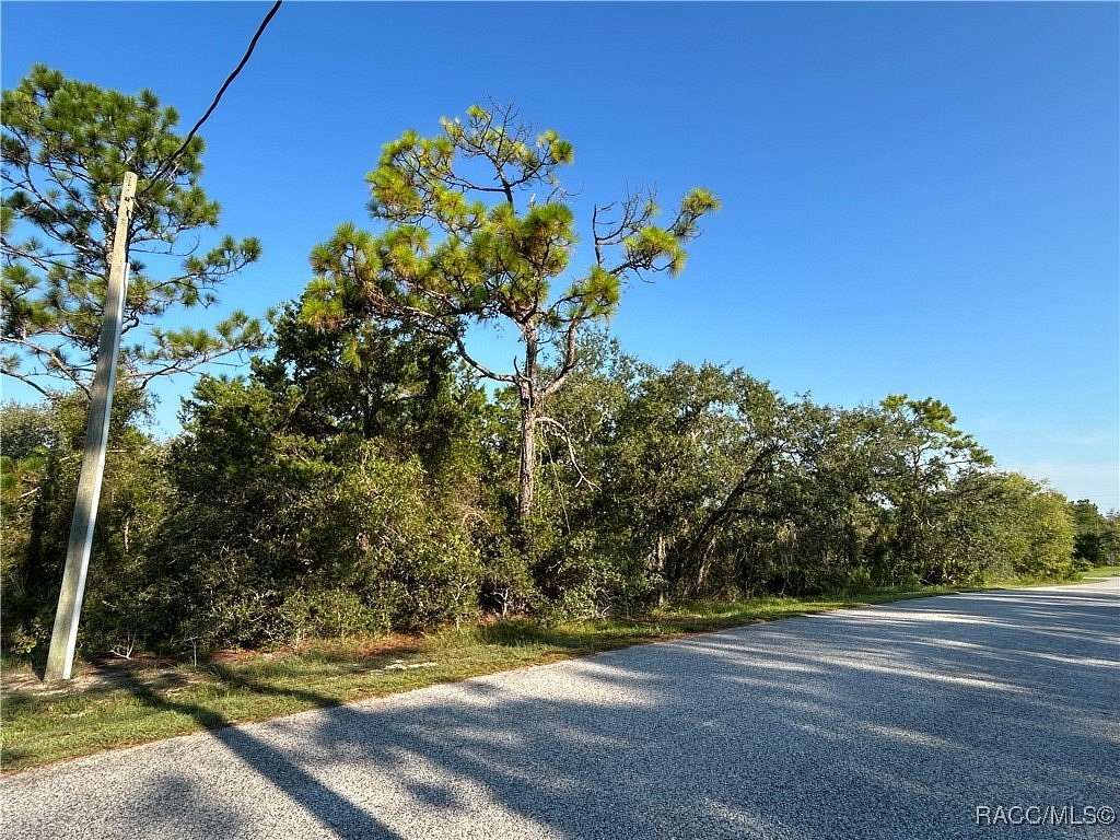 1 Acre of Residential Land for Sale in Weeki Wachee, Florida